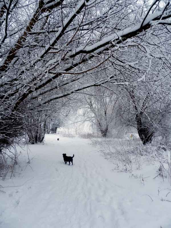 Winterwanderung