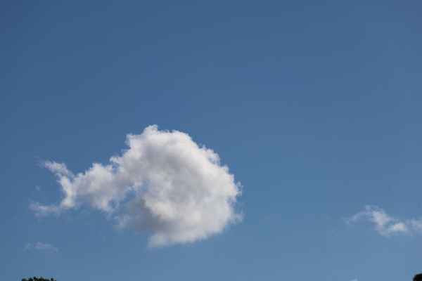 plattfisch am himmel