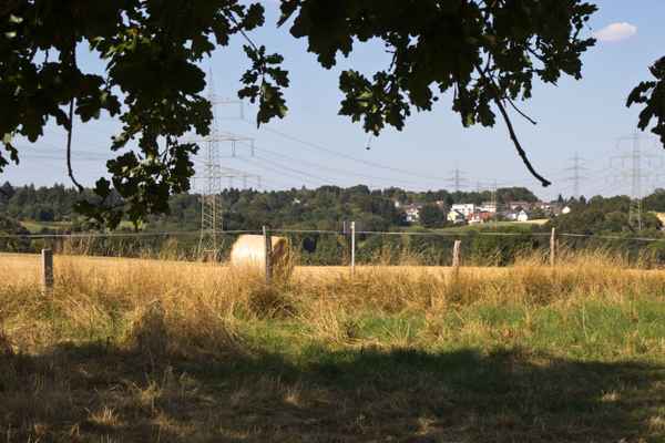Natur 66