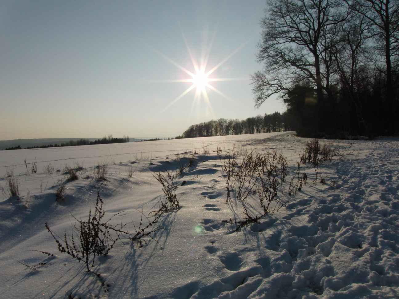  Sonne und Schnee