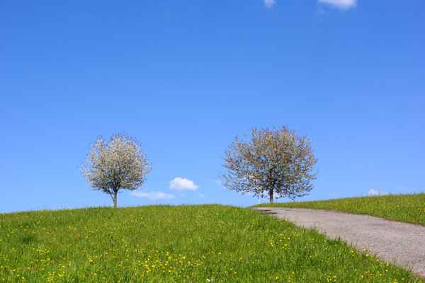 Wanderstimmung im Mai