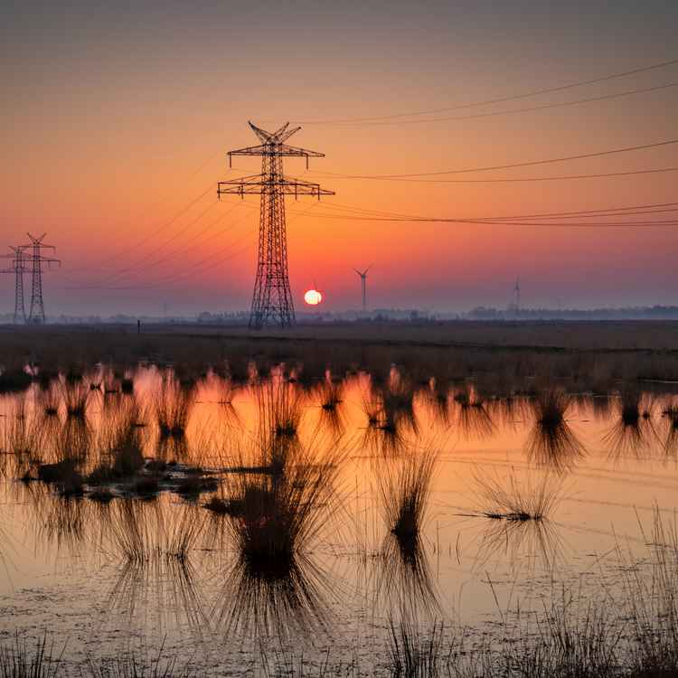 Sonnenaufgang im Stapeler Moor