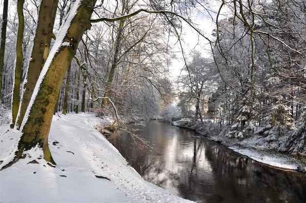 Winterlandschaft III