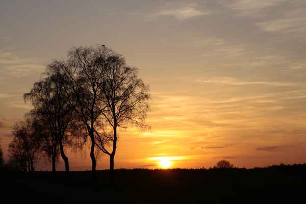 morgenstille