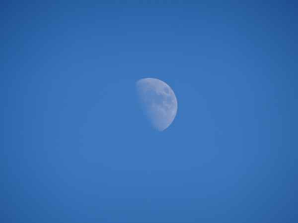 Mond