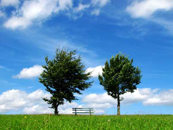 Gleiche Bank - neue Wolken