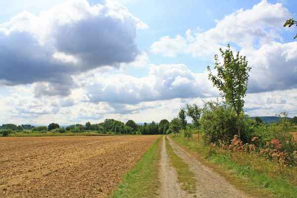 Zwischen den Feldern 1