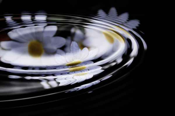 unter wasser