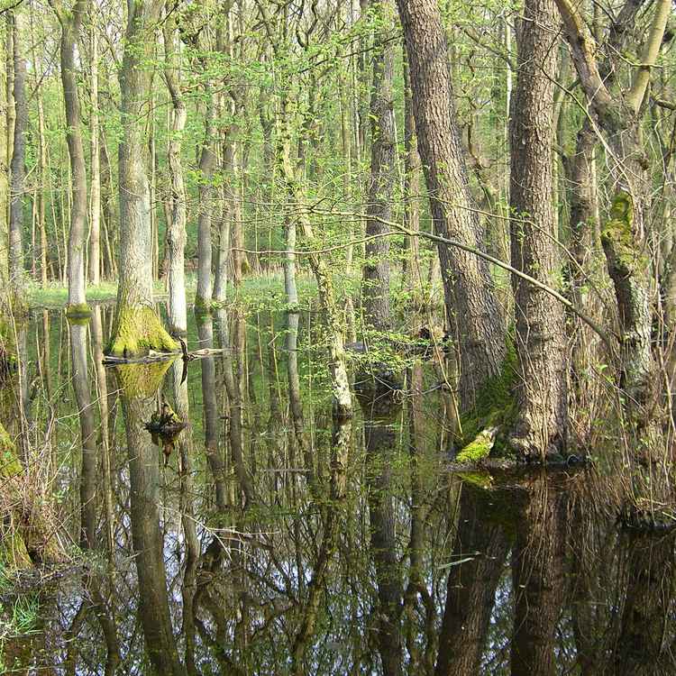 Naherholungsgebiet