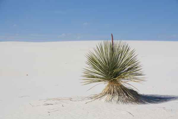 White Sands National Monument