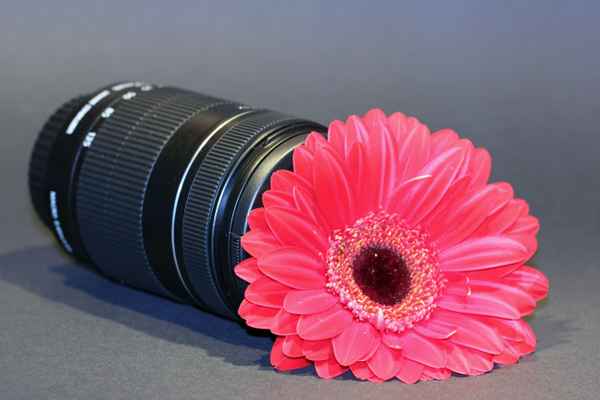 Aus Liebe zur Fotografie 3