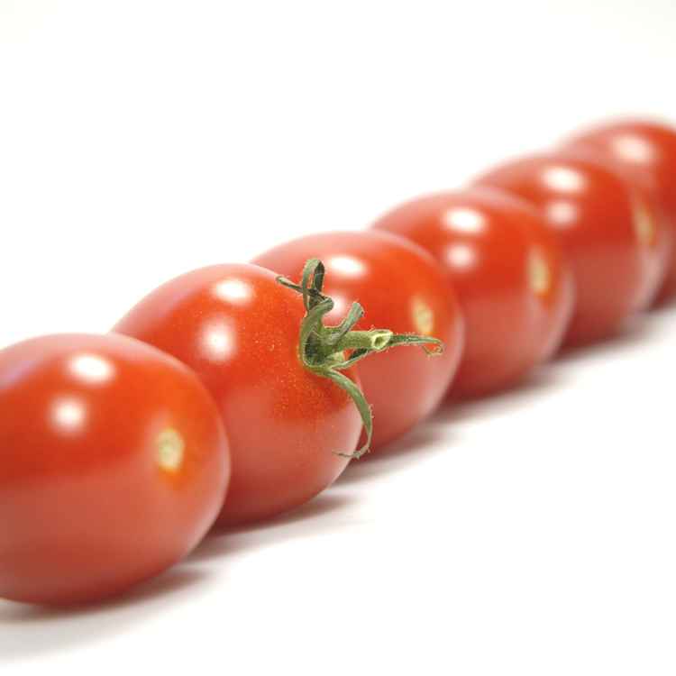 In die Reihe, Kamerad!