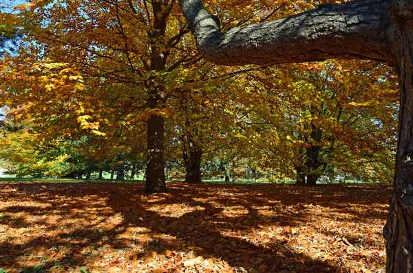 Herbstspaziergang im Kurpark Oberlaa 03