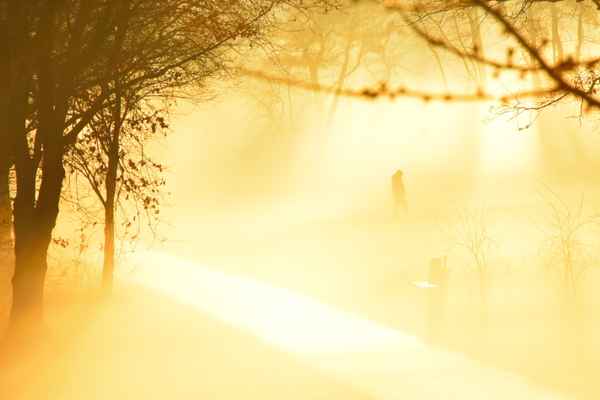 Morgennebel