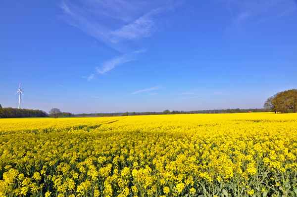 Alternative Energien