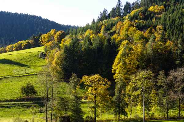 Goldener Herbst im Kinzigtal
