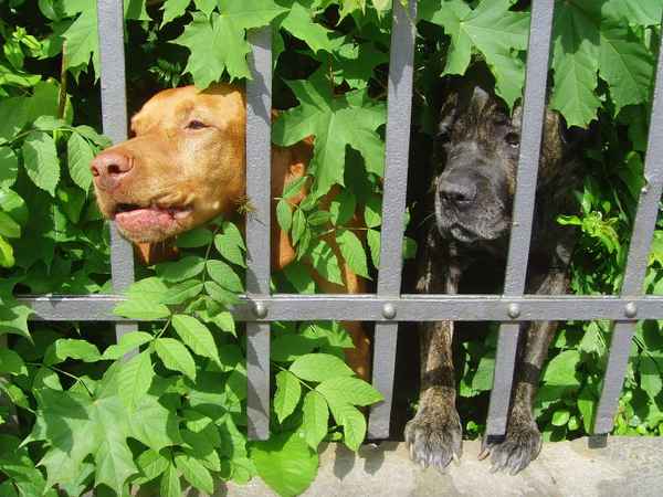 Du kommst hier nicht rein....