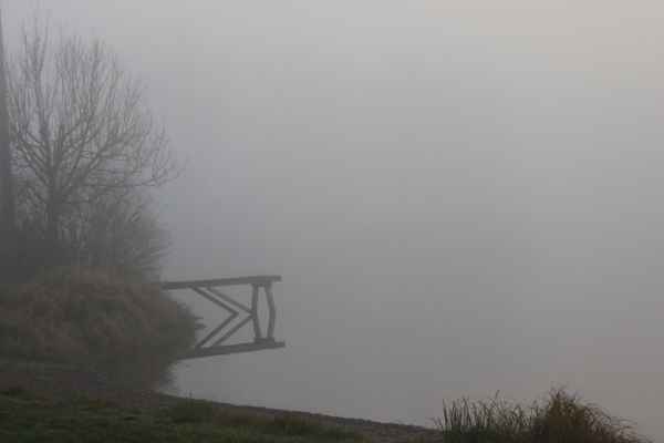 Mystische Nebellandschaft