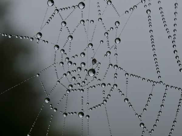 aus der herbst-kunst-natur-collection 2009