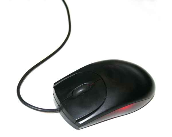 Maus, Mouse