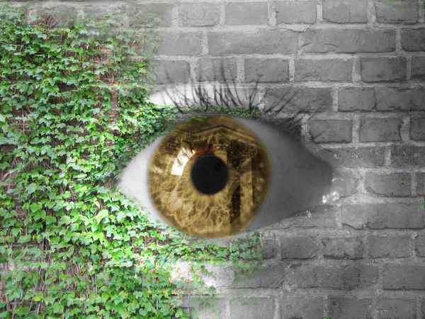 Die Mauer hat Augen 2