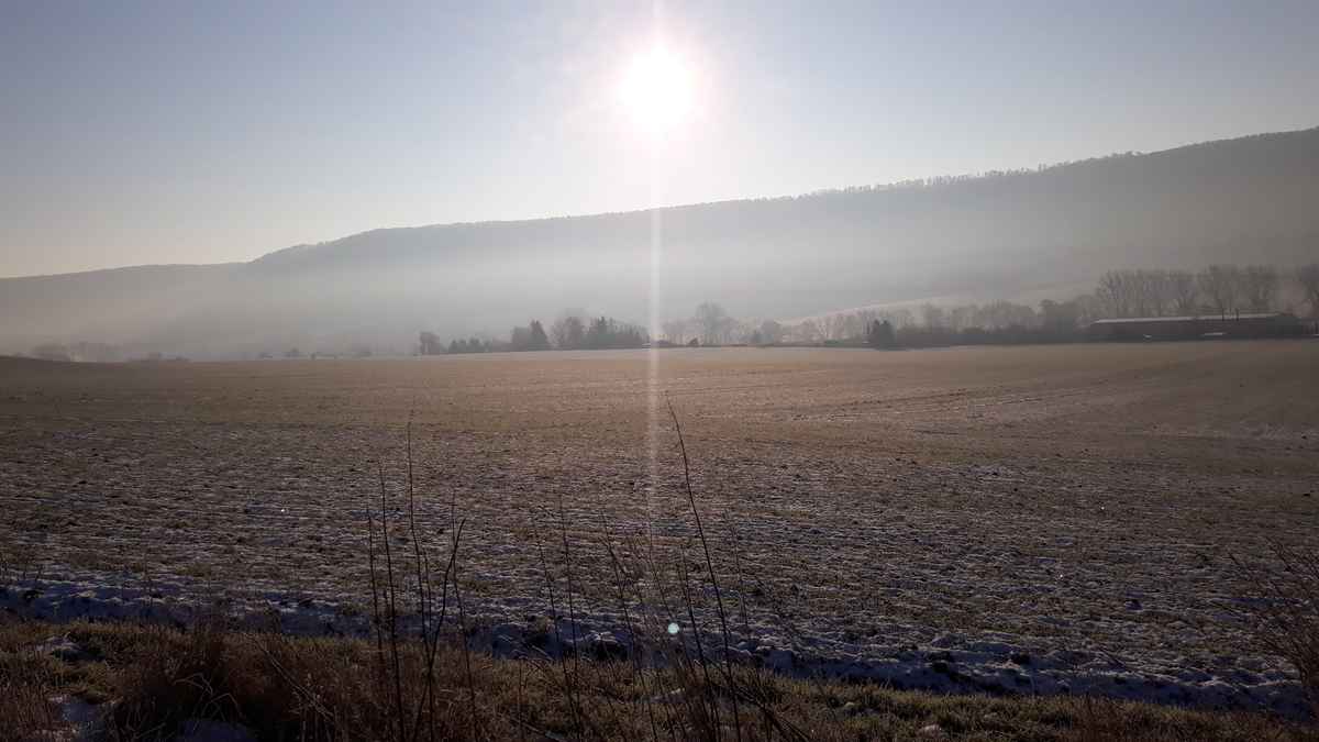 Frostig
