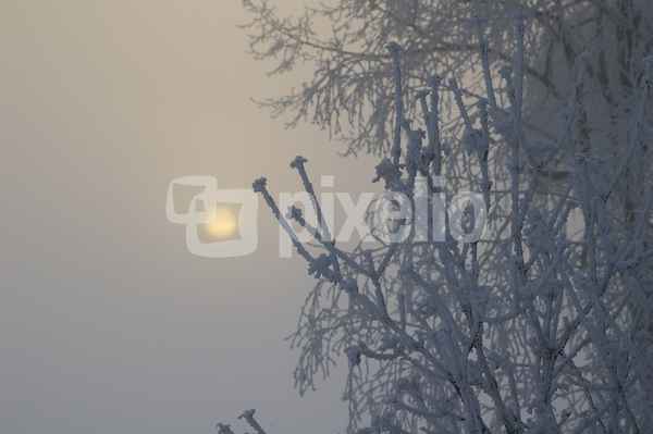 Winterlandschaftstimmung