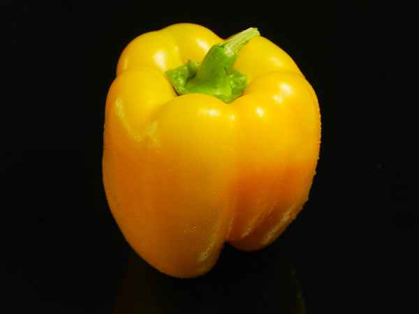 gelber Paprika