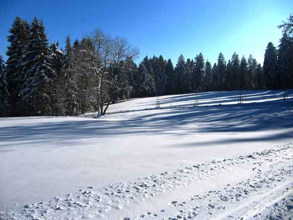 Loipe mit Schneelandschaft