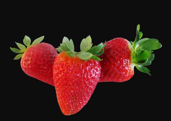 Drei süsse Versuchungen