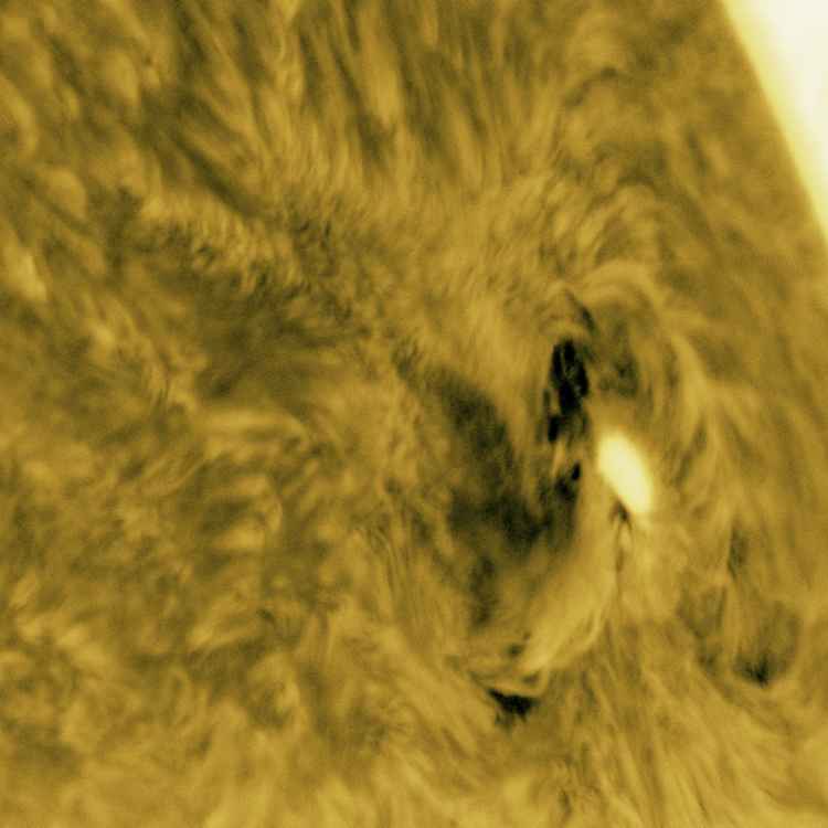 Aktive Region 2665 am 16. Juli 2017