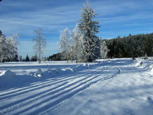 Autoreifenspuren im Neuschnee