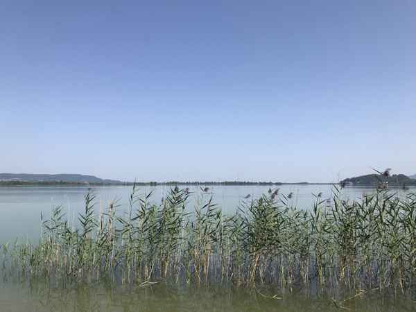 Blick über den Kochelsee in Oberbayern / Foto: Alexander Hauk