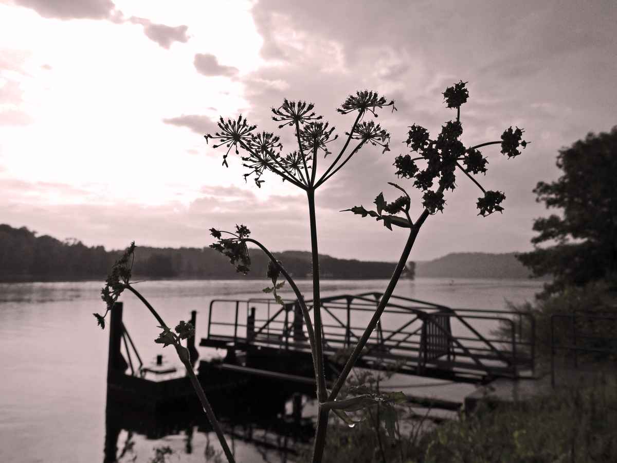Abendstimmung am See