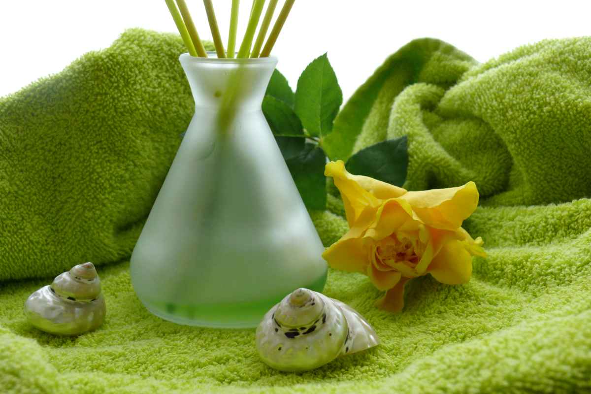 Wellness