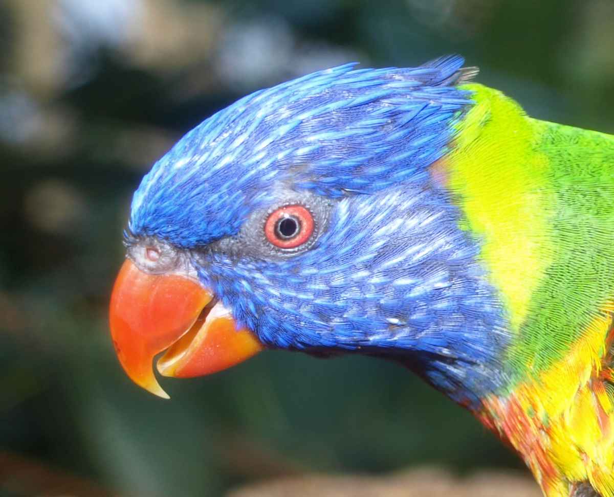 Gibt es bald was zu fressen?