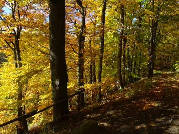 Herbstzeit ist Wanderzeit