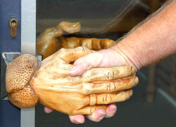 SHAKE HANDS