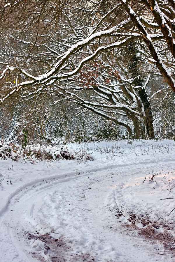 Winter im Broichbachtal 12
