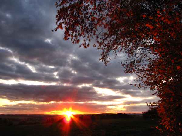 Golden geht die Sonne unter