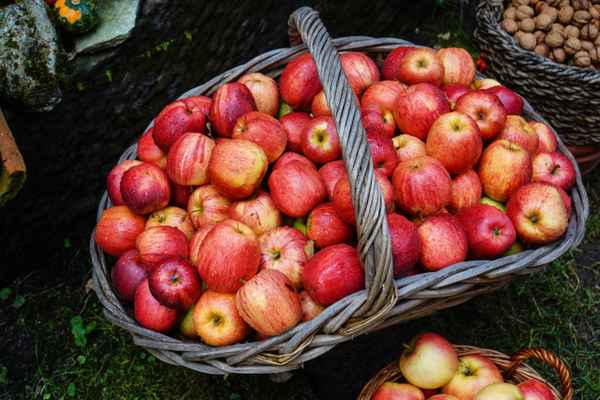 Erntezeit Herbst