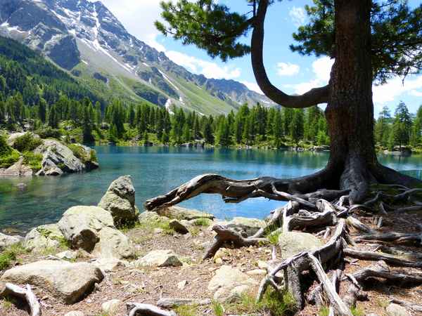 Paradies in den Schweizer Alpen