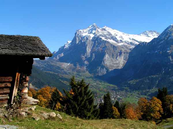 Herbststimmung oberhalb Grindelwald