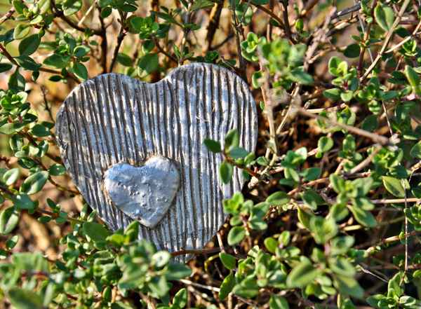 Kochen mit Liebe - Thymian mit Herz