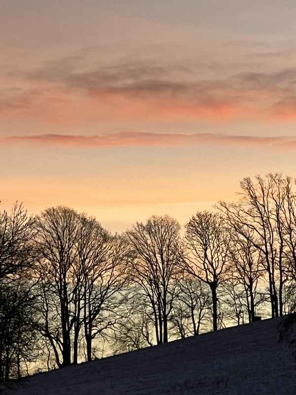 Ländliche Idylle am Morgen