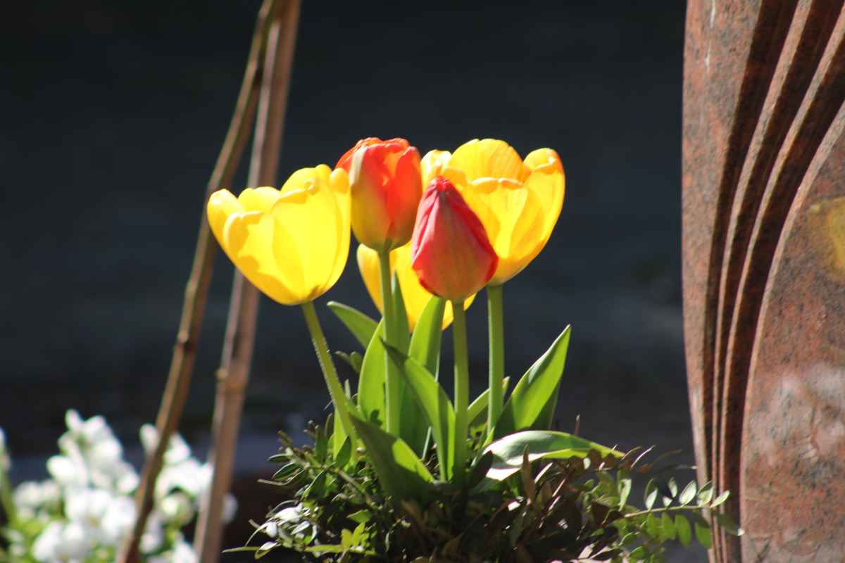 Sie sind mit einer der erster, die hier wunderschön sind.