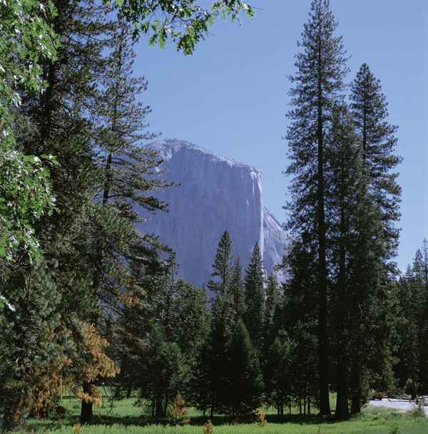  Yosemite Valley