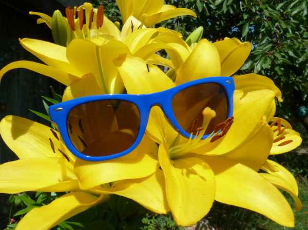 Es ist Sommer