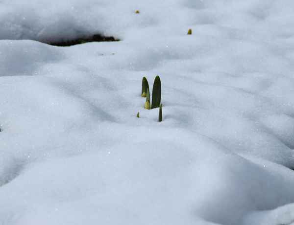 Ich hab`s geschafft.... 01