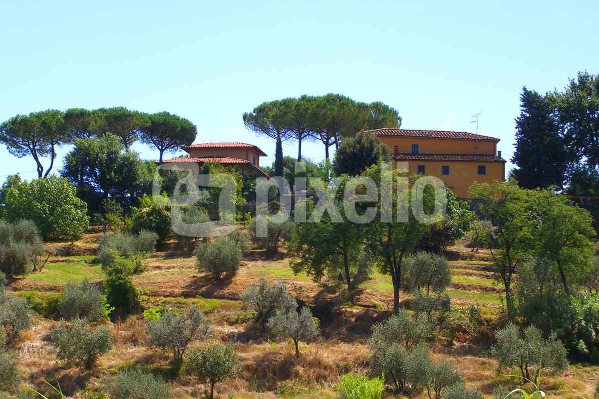 Toskana / San Baronto